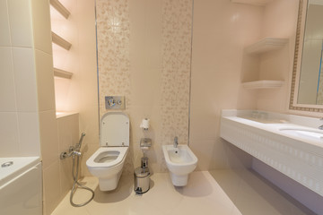 Toilet room in the modern interior