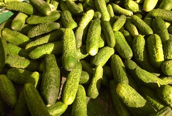 Cucumbers at farmers market
