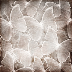 Background with butterfly