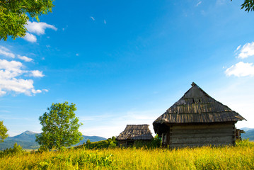 Idyllic carpathian chalet summer mountain meadow panorama carpat