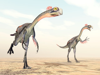 Fototapeta premium Dinosaur Gigantoraptor