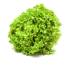 Fototapeta premium Fresh green lettuce isolated on a white