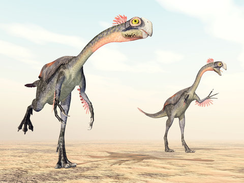 Dinosaur Gigantoraptor