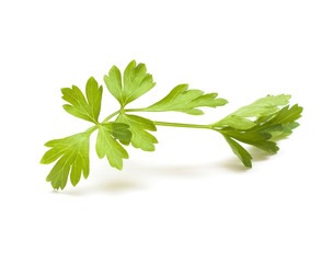 Parsley isolated on white background