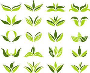 Green leaves icons