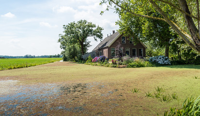 Old farm house in a Dutch polder landscape