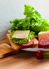 sandwich with salami and cheese