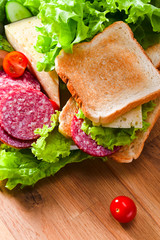 sandwich with salami and cheese