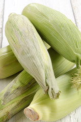 freshly harvested corn cobs on a kitchen table