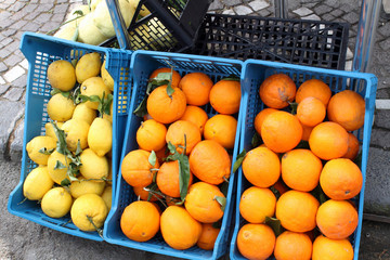 Sorrento lemons and oranges