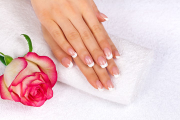Beautiful woman's hands with french manicure and rose on towel