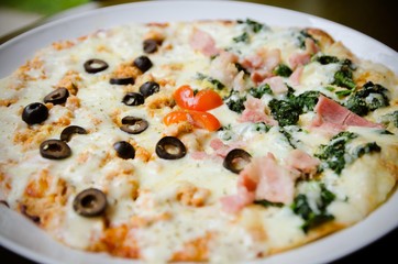 Homemade Pizza,half salmon and half Spinach.