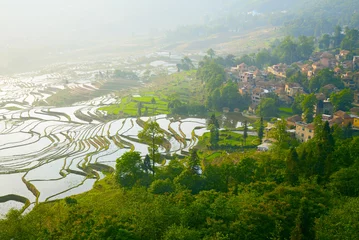 Foto op Canvas Rice terraces © SJ Travel Footage