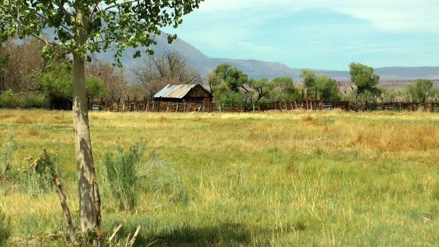 Holzhaus auf einer Weide hut on meadow