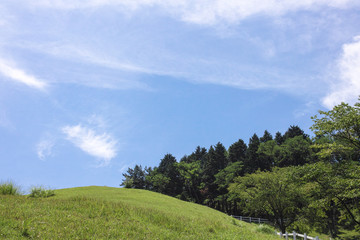 牧場の丘の青空２