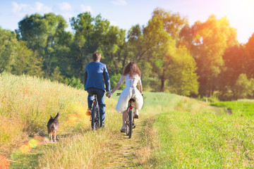 Fototapeta premium Young happy bride and groom ride bicycles in the meadow