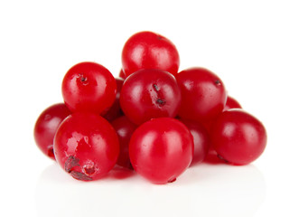 Ripe red cranberries, isolated on white.