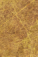 Fototapeta na wymiar Artificial Eco Leather Yellow Crumpled Texture Sample