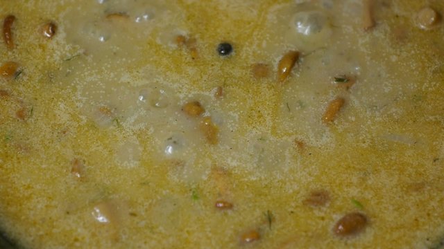 chanterelle mushroon soup