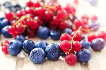 Berry fruit
