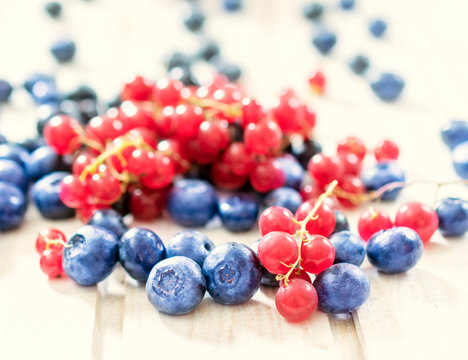 Currant and bluberries