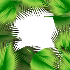 Tropical green leaves illustration