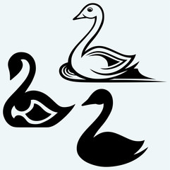 Swan sign. Image isolated on blue background