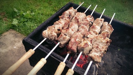Pork kebabs on the grill in summer garden