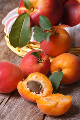 Naklejka na ściany i meble apricots close-up on a background of a basket of fruit vertical
