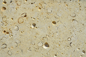 texture background natural stone sandstone