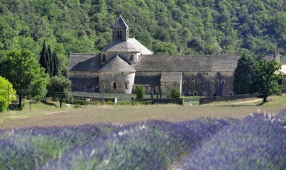 Senanque abbey