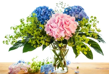 Crédence de cuisine en verre imprimé Hortensia hortensia bleu et rose