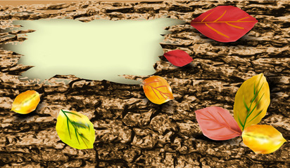 Background of tree bark with colorful autumn leaves
