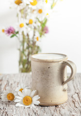 Fresh milk in ceramic mug