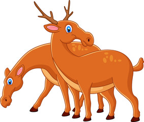 Cute deer cartoon couple