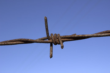 Closeup old rusty barbed wire and trace of the plane