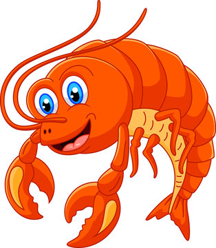 Funny shrimp cartoon character