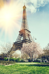 Springtime in Paris. Eiffel tower