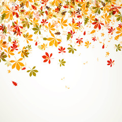 Vector Illustration of an Autumn Background - obrazy, fototapety, plakaty