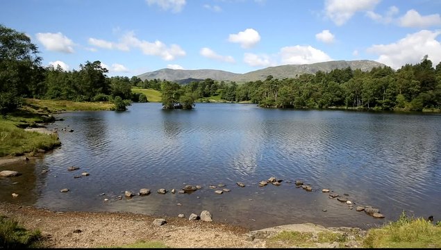 Tarn Hows near Hawkshead Lake District National Park England