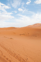Fototapeta na wymiar moroccan sahara