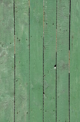 Green wooden boards as background
