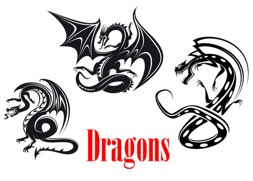 Black danger dragons