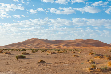 Fototapeta na wymiar moroccan sahara