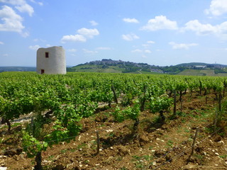 Sancerre3