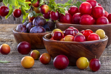 sloes and domestic organically grown plums on the table