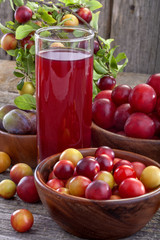 juice from sloes and domestic organically grown plums