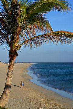 Strandspaziergang unter Palmen