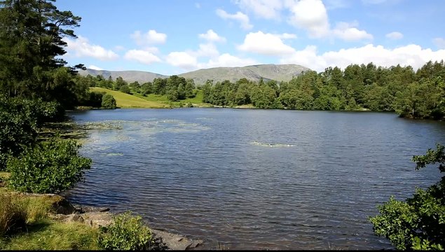 Tarn Hows Lake District National Park England uk o