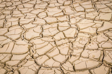 cracked soil